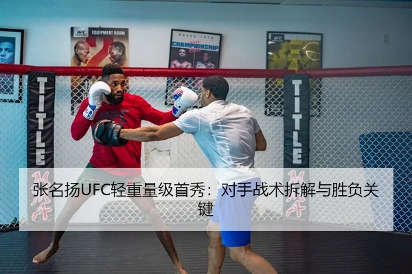 张名扬UFC轻重量级首秀：对手战术拆解与胜负关键